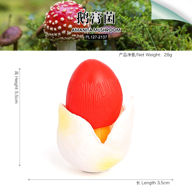 2137 Amanita mushroom