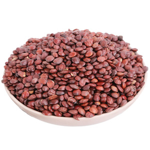 Ziziphus Jujuba Zaadextract 10:1 Voedingskwaliteit Wild Puur Natuurlijk Fabrieksdirect Verkoop Poeder Trommelverpakking Gezondheidssupplement - Product Image 3