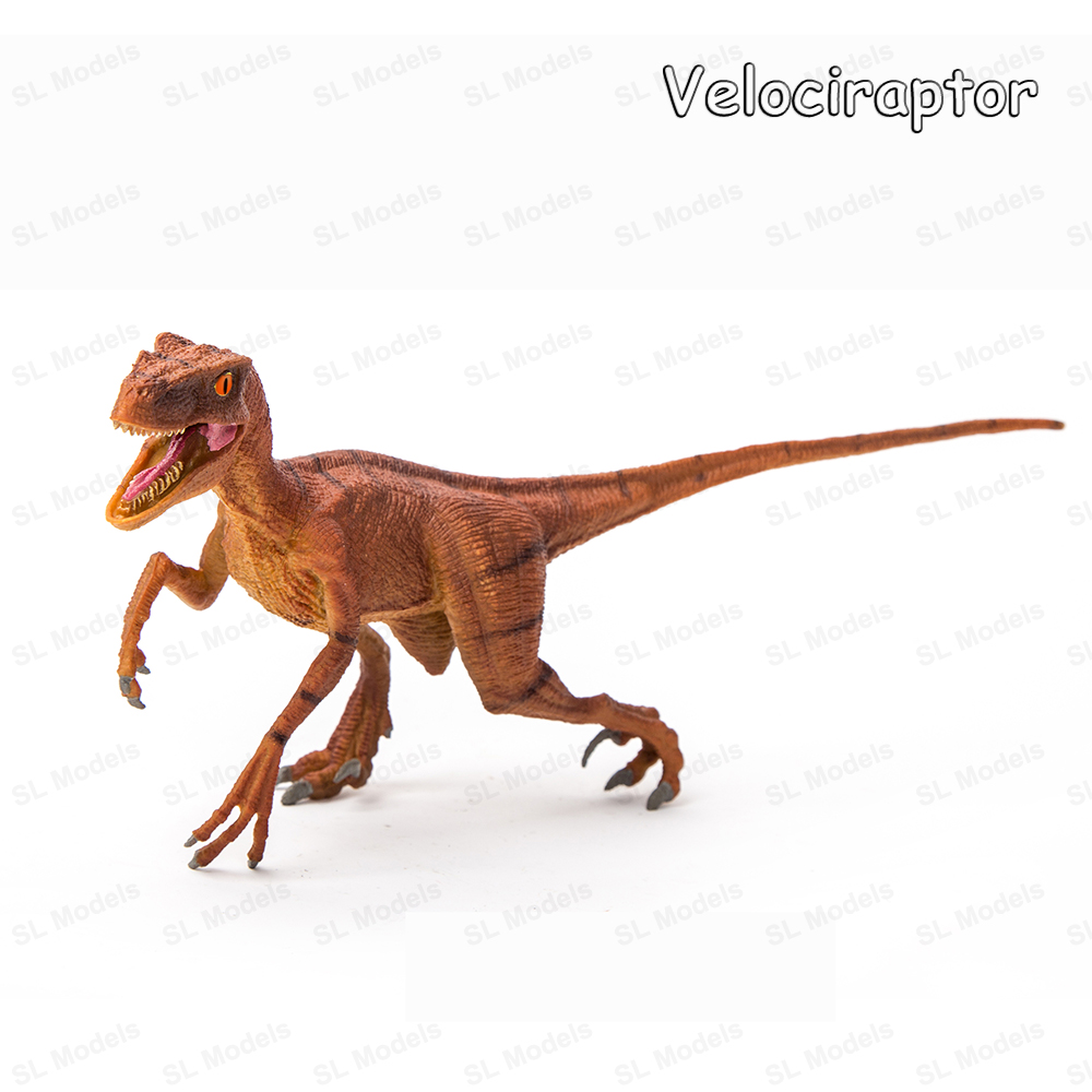 Velociraptor Dinosaur