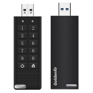 Goldenfir ENCRYPTED FLASH DRIVE <strong>USB</strong> 3.0 128GB Safe and Reliable Digital Physical Encryption <strong>USB</strong> Flash Drive