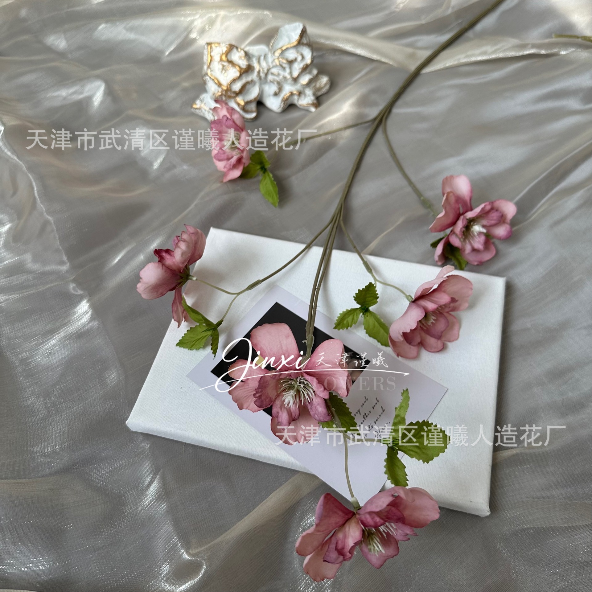 pivoine sauvage