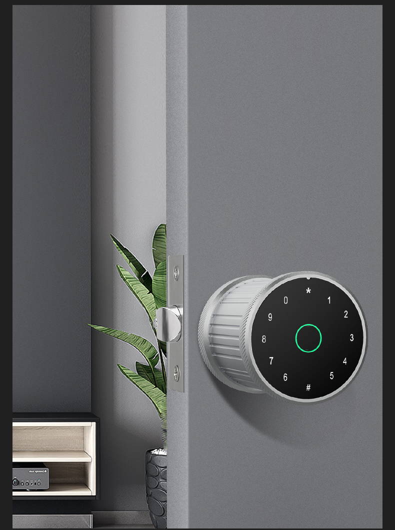 door lock guangdong*hyh hardware adobe master collection electronics locks ttlock finger print door lock