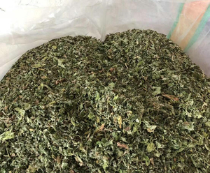 Hierba gatera triturada de alta calidad, con hojas y tallo para gato, hierba gatera fresca a granel