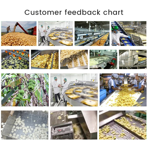 Verimli cips yapımı için yarı otomatik 100 kg/saat patates cipsi üretim hattı aperatif makinesi - Product Image 5