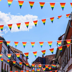 Banderines de cuerda triangular LGBT con bandera de arcoíris personalizada, exhibición del Orgullo Gay hecha de plástico de seda y poliéster de alta calidad - Product Image 4