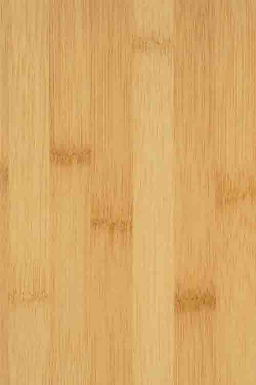 bamboo