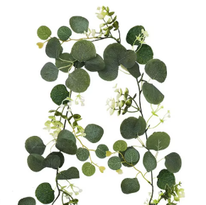 Eucalipto verde tipo ratán C (36 cabezas)