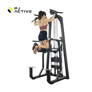 PJ çok fonksiyonlu güç Pull-Up eğitmen kol kıvırmak paralel barlar Fitness ekipmanları üretici yukarı çekin güç kulesi istasyonu - Product Image 4