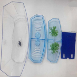 Thiết kế độc đáo Aquarium <span class=keywords><strong>Betta</strong></span> Fish Bowl chia 2 ngoài Acrylic Fish Tank dễ dàng để làm sạch Acrylic Tank - Product Image 4