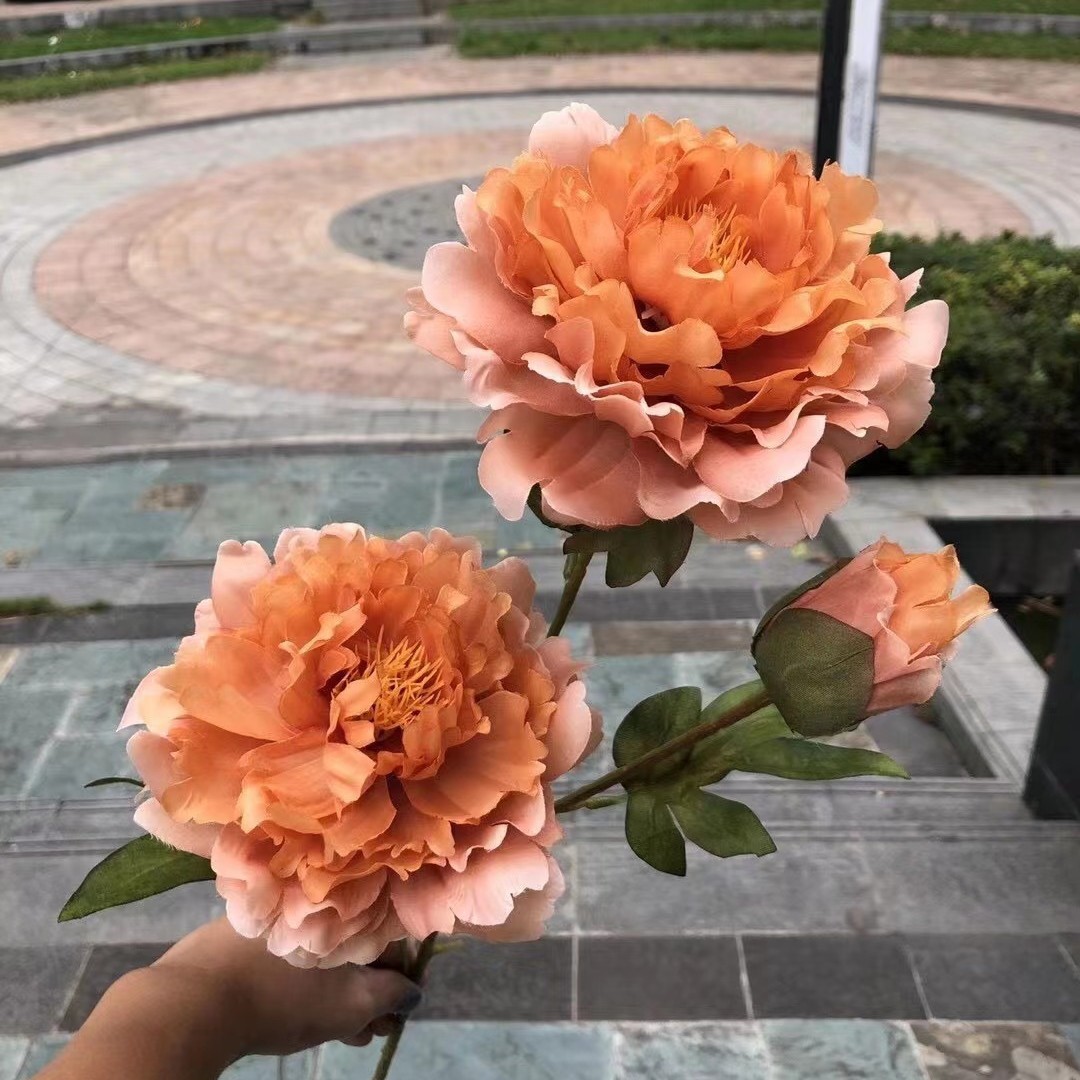 10# สีน้ำตาล ดอกโบตั๋นมงคล 3 หัว คาเฟ่ตื้น