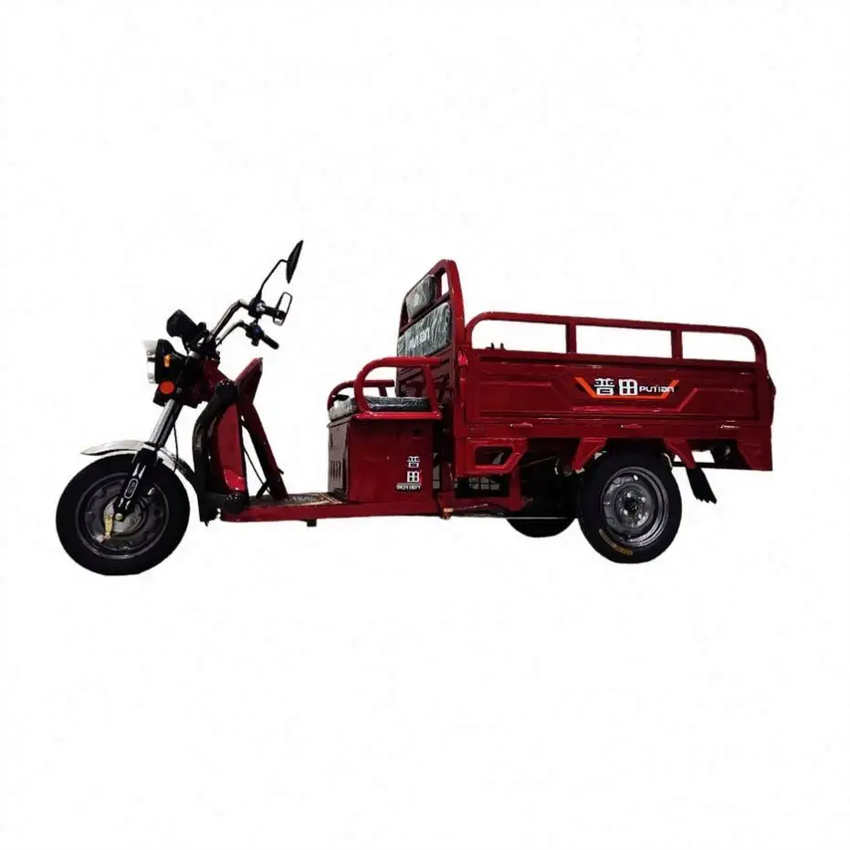 Factory Price Bike Dw1703 3 Wheel Peddle Beverage Juice Beer Cocktail Beijing Cargo Tricycle For Electric Motorcycle