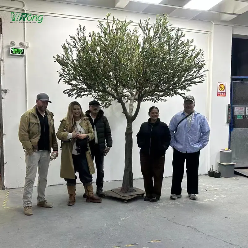 شجرة زيتون صناعية مخصصة للزينة للمكتب أو داخل المنزل أوعية نباتات شجر بونساي بلاستيكية