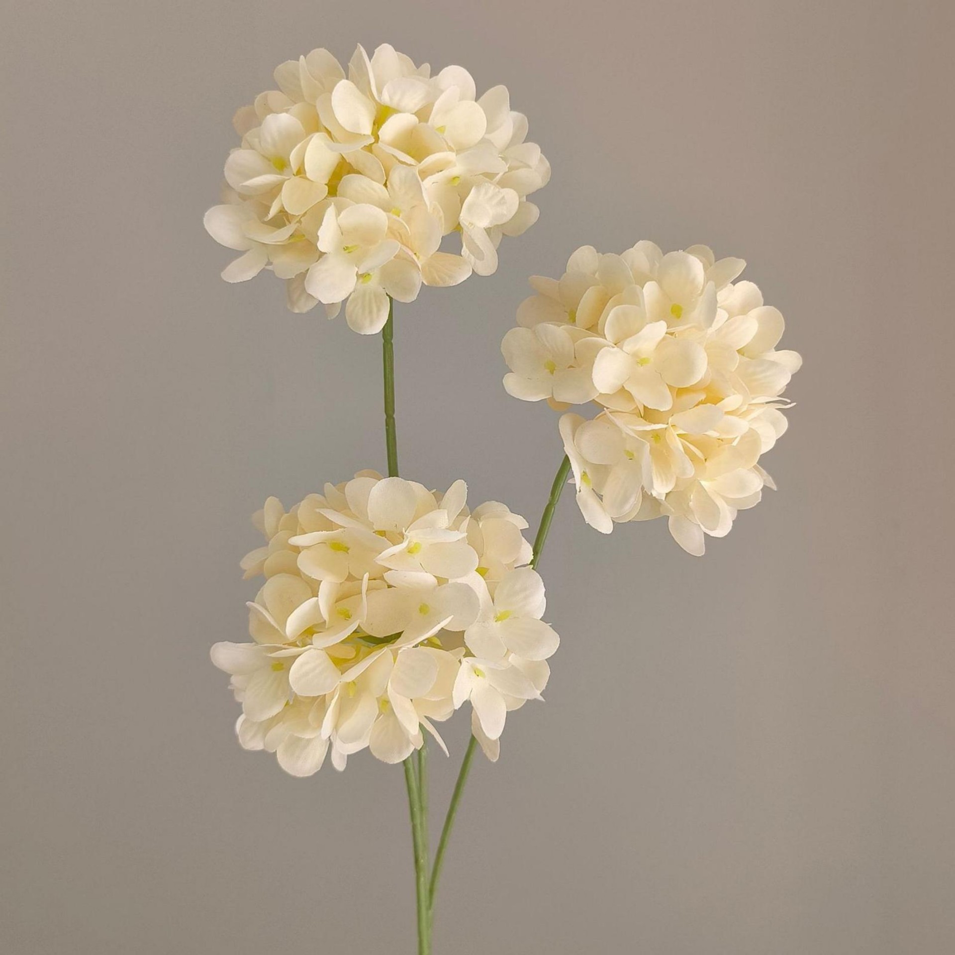3 Heads Hydrangea-Champagne-71cm