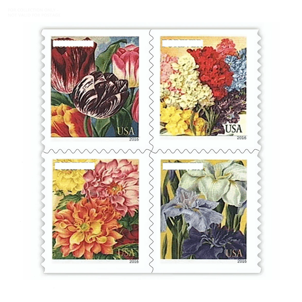 Blanc Y76 2016 Art Belle Fleur Éclosion 100pcs