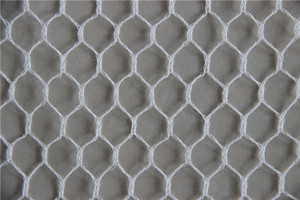 Agricultural Greenhouses Anti-bird <strong>Net</strong> Anti-insect <strong>Net</strong> Protective <strong>Cover</strong> Fruit <strong>Tree</strong> Anti-bird <strong>Net</strong> Customized - Product Image 4