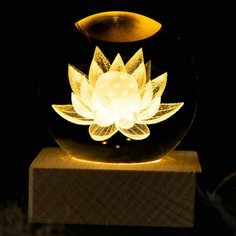 lotus blanc chaud
