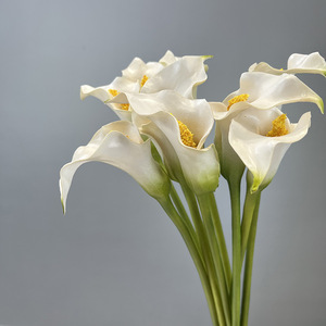 Chất Lượng Cao PU Bất Cảm Ứng <span class=keywords><strong>Calla</strong></span> <span class=keywords><strong>Lily</strong></span> Hoa Nhân Tạo Trắng <span class=keywords><strong>Calla</strong></span> <span class=keywords><strong>Lily</strong></span> Cho Đám Cưới Nhà Giáng Sinh Trang Trí Kỳ Nghỉ - Product Image 5