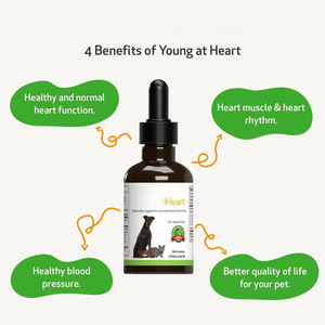 Suppléments de soins de santé pour animaux de compagnie Goutte de liquide de soutien cardiaque pour une pression artérielle saine et normale - Product Image 3