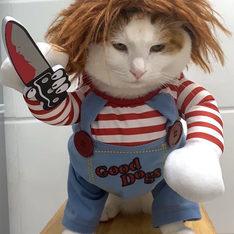 Ensemble de tenue Chucky