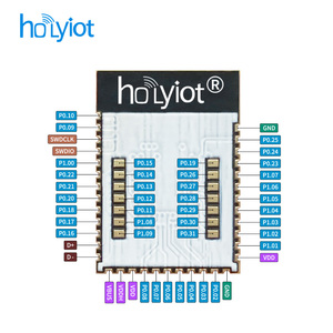 Holyiot nRF52833 largo alcance Bluetooth Micro Ble 5,3 módulo Zigbee hilo con CE FCC RoHS - Product Image 3