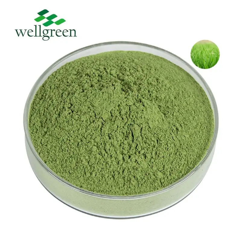 Suplemen makanan alami ekstrak jus gandum hijau bubuk rumput gandum