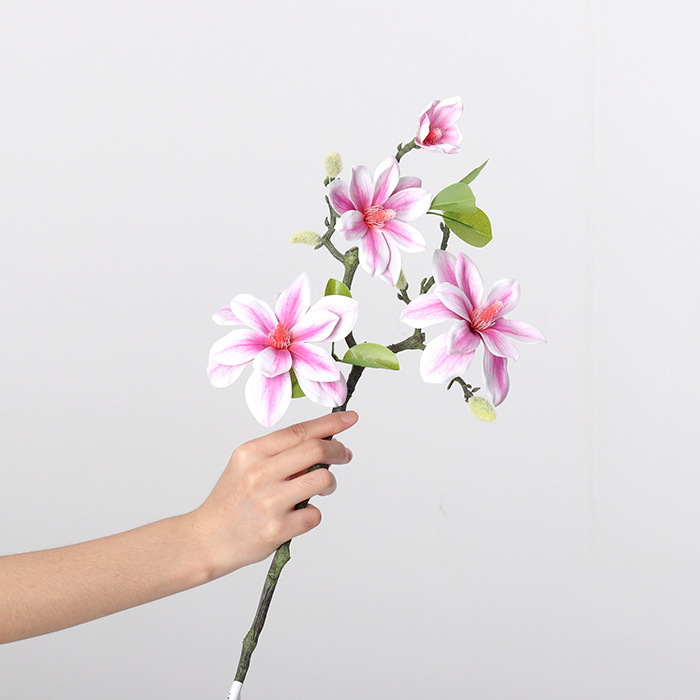 West lake magnolia light purple 60cm