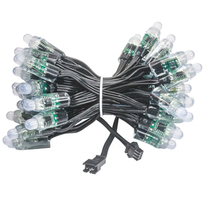 Wasserdicht IP68 WS2811 vollfarbige DC5V 12V Led Pixel-String-LED-Modulleuchte für Werbetafeln - Product Image 2
