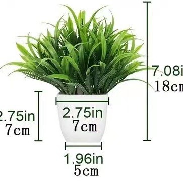 Herbe de printemps