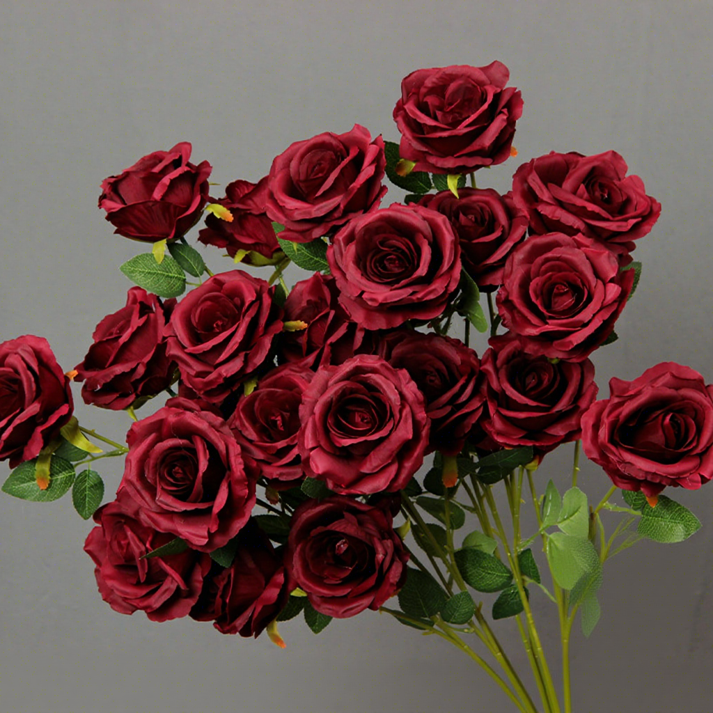 Rosa Crema Borgoña de 3 Cabezas / unidad