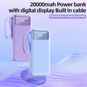 定制标志数字显示微型C型输入两个usb-a输出电源组20000毫安时，带4根电缆电源组 - Product Image 2