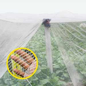 Vendita calda della fabbrica diretta anti-grandine maglia a prova di grandine pack un rotolo un poli sacchetto + etichetta nel frutteto
