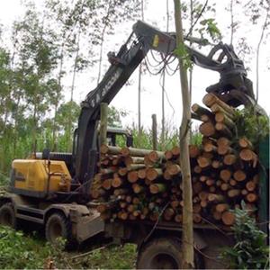 Equipo de tala, excavadora de troncos forestales, cargadora, máquina de carga de troncos de madera - Product Image 4