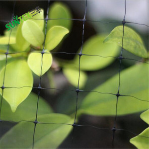 UV Block jungfräuliches PP Kunststoff landwirtschaft liches Vogel netz, 2cm * 2cm Loch größe extrudiertes Vogel nebeln etz für Trauben - Product Image 3