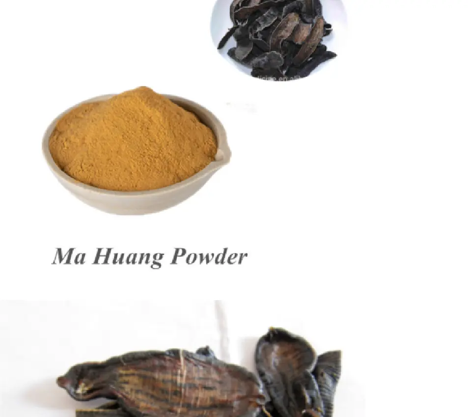 Medicina tradicional china Herb100 % Bloodsucker seco sanguijuela seca/Ma Huang polvo