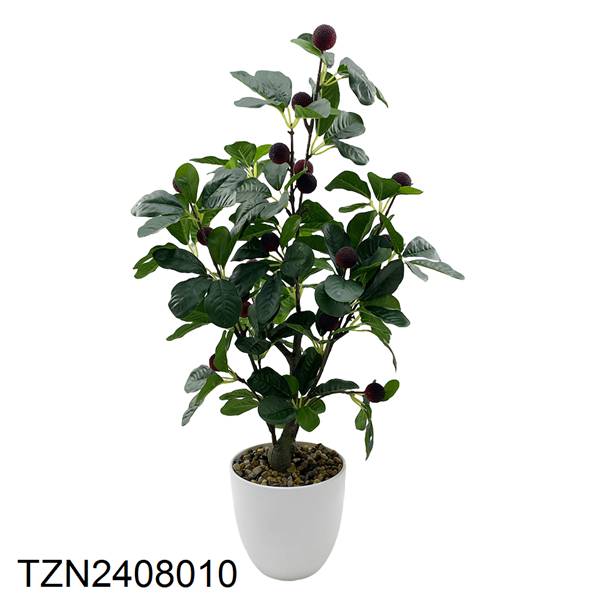 Vert-TZN2408010