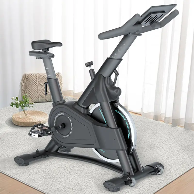 Professionnel Body Fit Gym Master Intérieur Cyclisme Exercice Fitness Équipement Gym Spinning Bike Pro