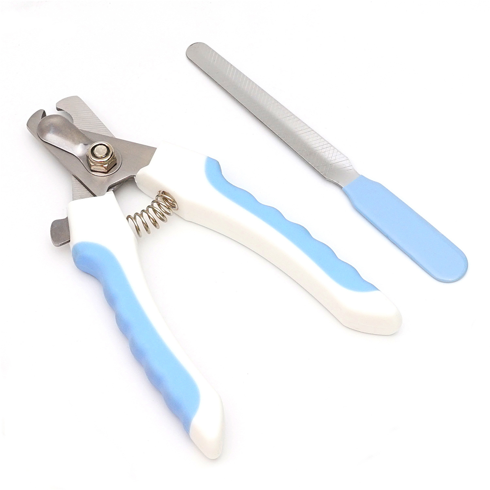 Blue, Large
