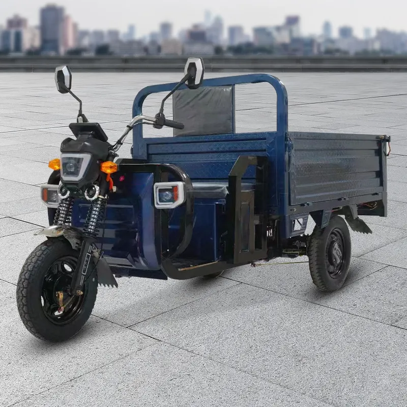 Populair Ontwerp 12V Elektrische Trike 1000W Driewieler Voor Volwassenen