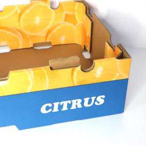 Özel güçlü karton 5 katmanlar Cheery elma meyve kutusu ambalaj oluklu meyve tepsisi - Product Image 5