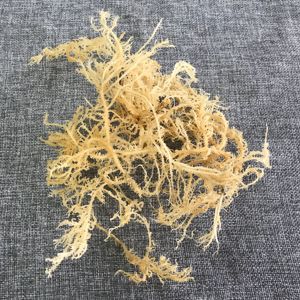 N10 प्राकृतिक समुद्री मॉस थोक अच्छी कीमत शीर्ष रेटेड ताजा सूखे समुद्री समुद्री मॉस - Product Image 5