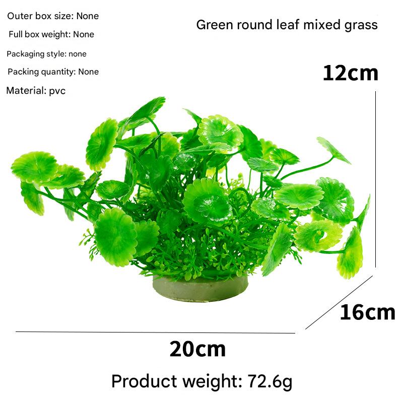 Green round-leaf mixed grass (12cm)