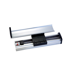 Double <strong>Linear</strong> Guide Ball <strong>Screw</strong> <strong>Driven</strong> <strong>Sliding</strong> Table Heavy Duty Dustproof Module - Product Image 4