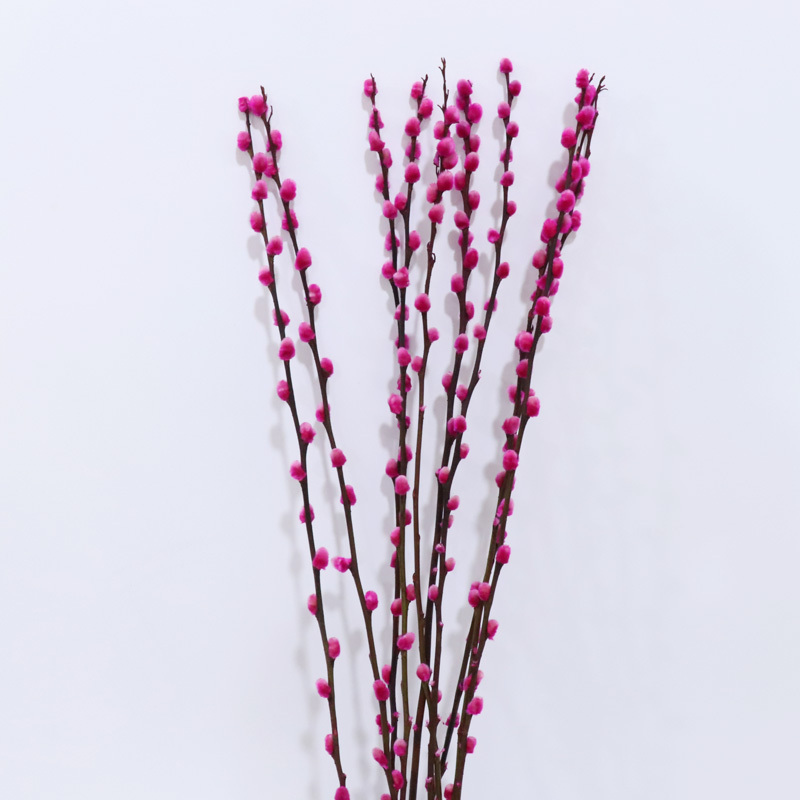 Rosa caldo
