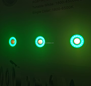 Benory DC 24V <strong>LED</strong> RGBW WW Loxone Tree Ceiling Spot <strong>PWM</strong> KNX Dali <strong>DMX</strong> Zigbee RGB-CCT Smart Automatic Lighting - Product Image 5