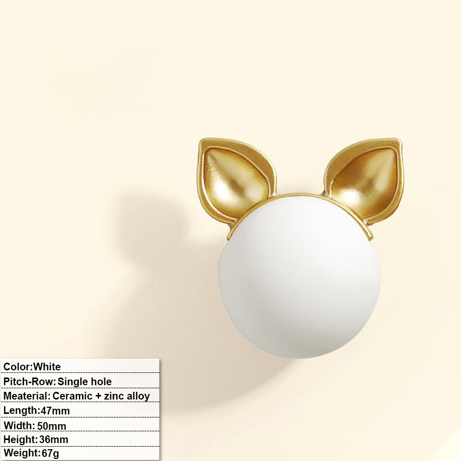 CY-FH-C604 blanche