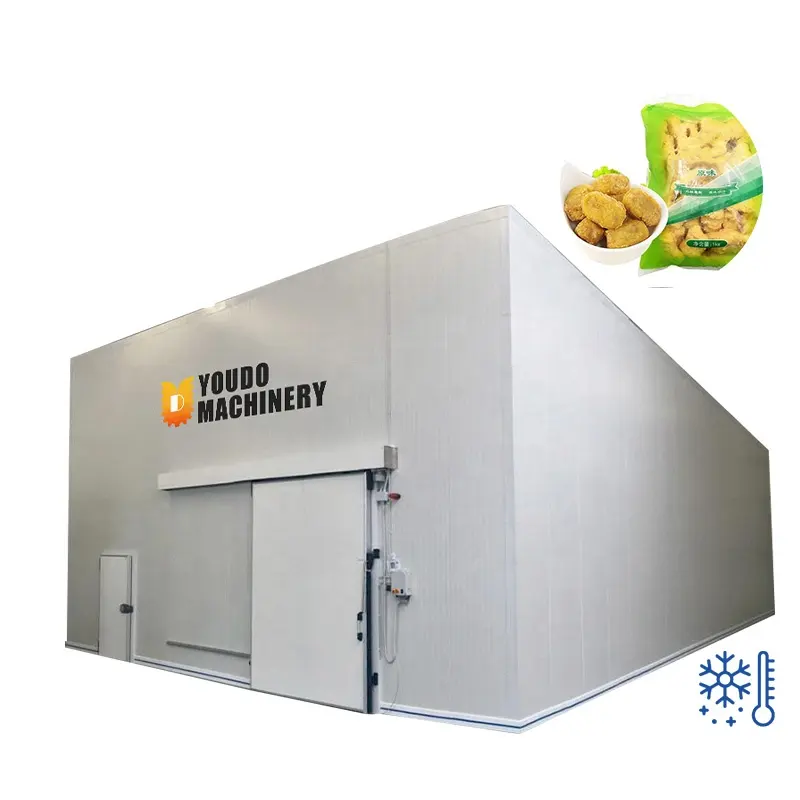 Industri Portabel Mini Monoblock Walkin Kulkas Pendingin Udara Ruang Beku Bunga Kecil Makanan Penyimpanan Dingin untuk Perdagangan