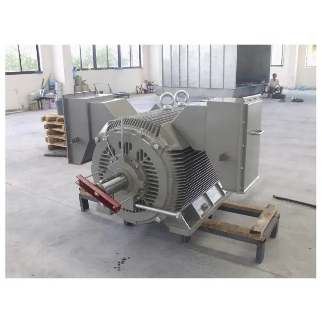 Motor elétrico gaiola de descascamento, tamanho médio ímã permanente 6kv 10kv