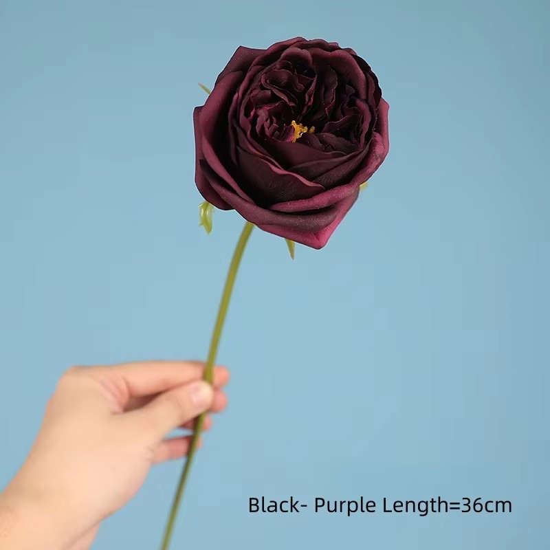 Noir Violet