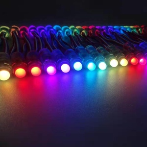 5v 12mm ws2811 Vollfarb-RGB-LED-Pixel modul Licht 50 Knoten/String für Werbe brief oder Weihnachts dekoration LED-Schnur - Product Image 4
