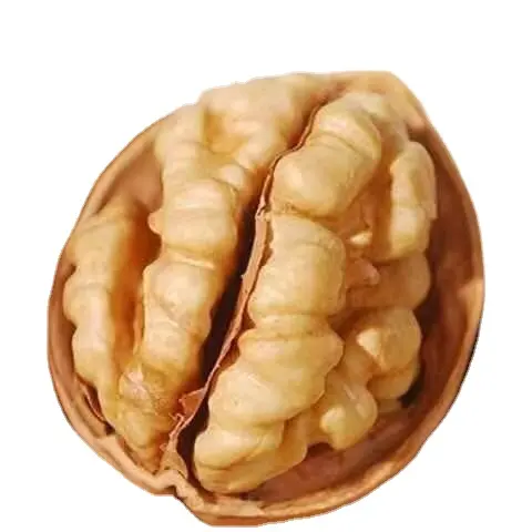 אגוזי מלך טריים בתפזורת באיכות גבוהה מחיר ענבר 32+ סין עם תזונת מעטפת פירות יבשים אריזה בתפזורת טבעית חומרי גלם מזון